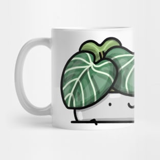 Pocket Plant (Philodendron gloriosum) Mug